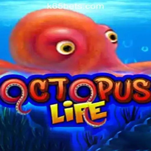 Discover the Exciting World of OctopusLife and K65.COM Oficial Slots Brasil #1